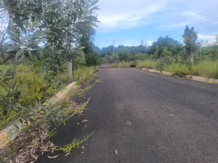 undefined, building-blocks-true-residency  167 Sq.Yd. Plot In Anandapuram Vizag 9323821