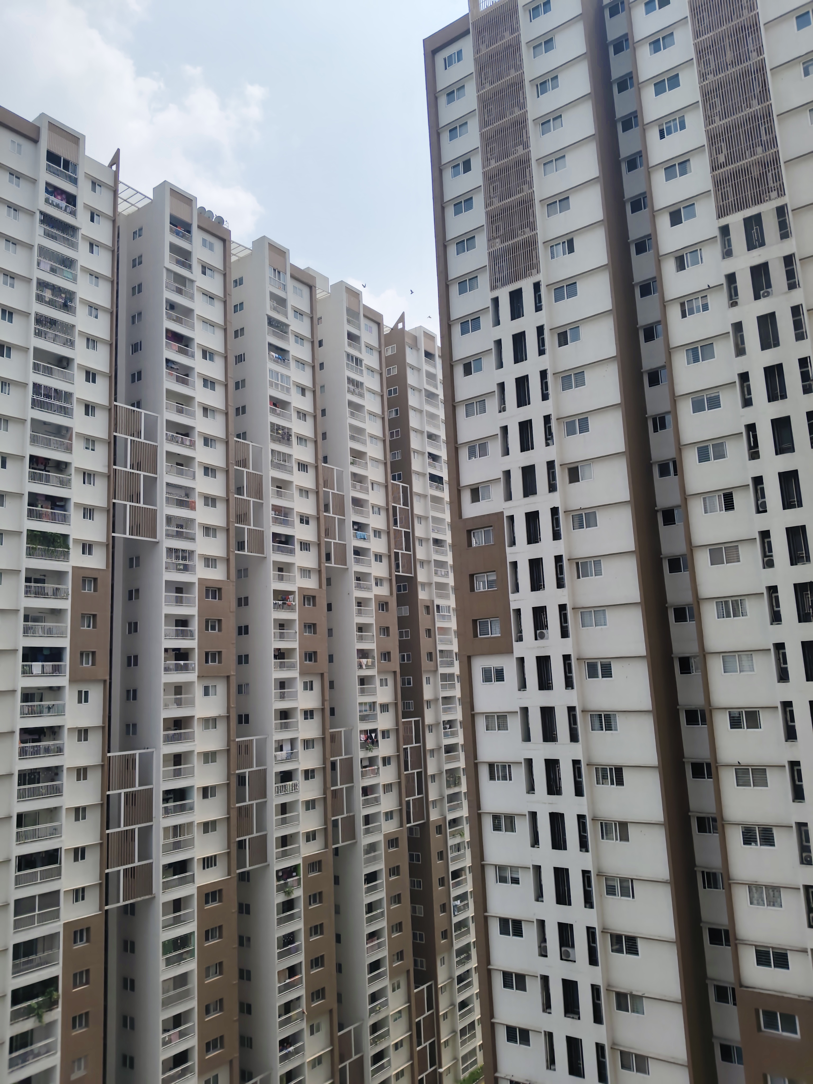 3 BHK + Pooja Room Apartment For Rent in Rajapushpa Provincia