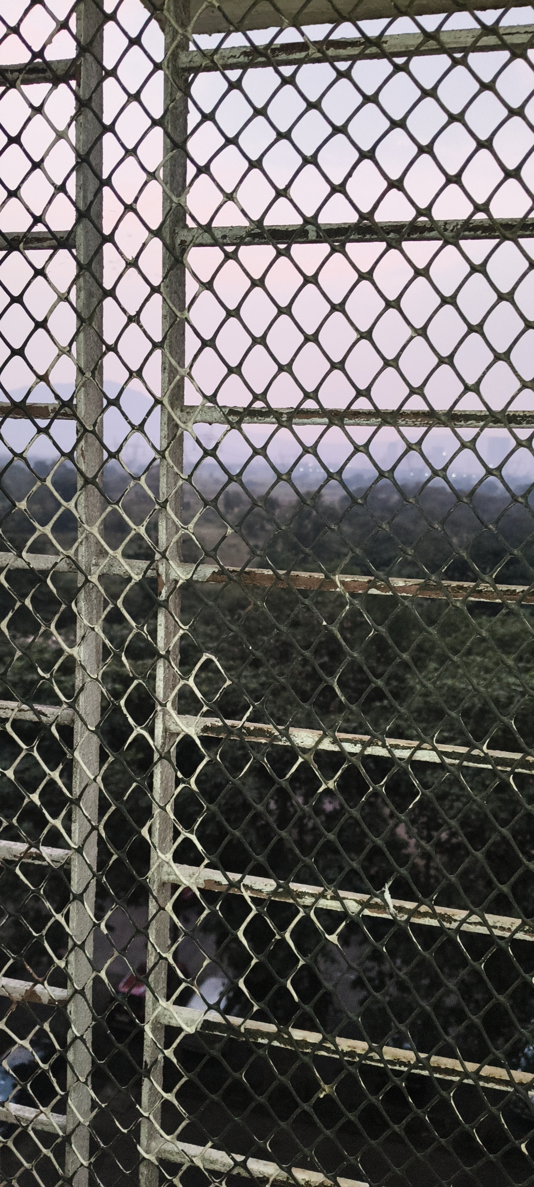 1 BHK + Pooja Room Apartment For Rent in Lodha Casa Rio