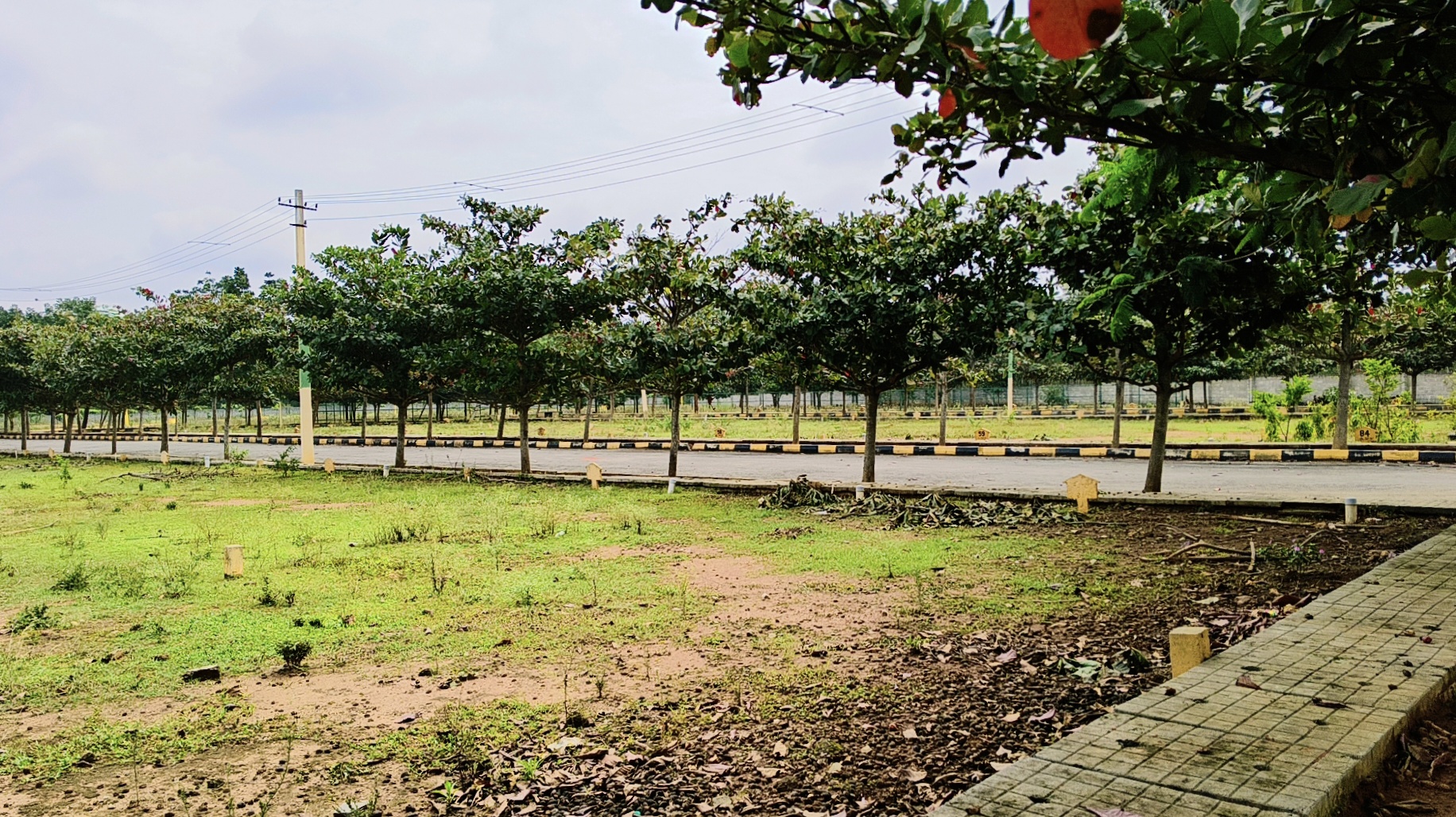 Plot For Sale in SKH Echium