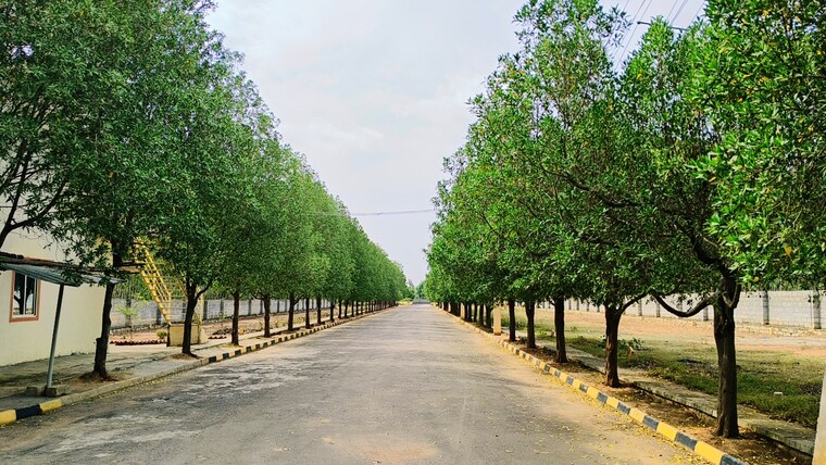 Exterior View, skh-echium  1800 Sq.Ft. Plot In Whitefield Bangalore 9324692