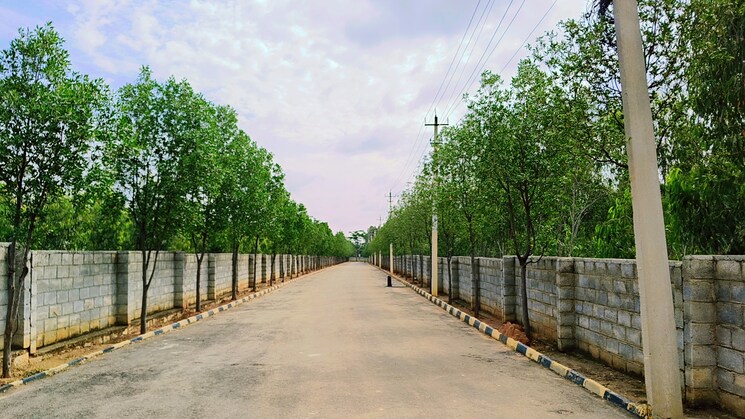 Exterior View, skh-echium  1800 Sq.Ft. Plot In Whitefield Bangalore 9324692