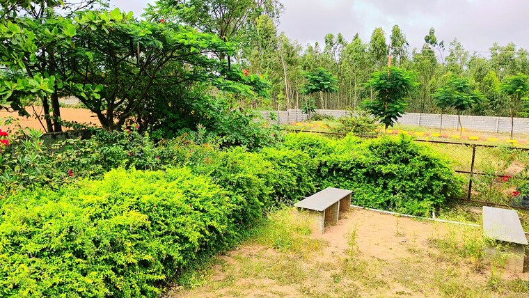 Exterior View, skh-echium  1800 Sq.Ft. Plot In Whitefield Bangalore 9324692