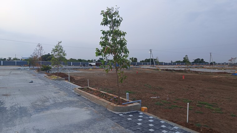 Exterior View, thiruverumbur  1355 Sq.Ft. Plot In Thiruverumbur Trichy 9324940