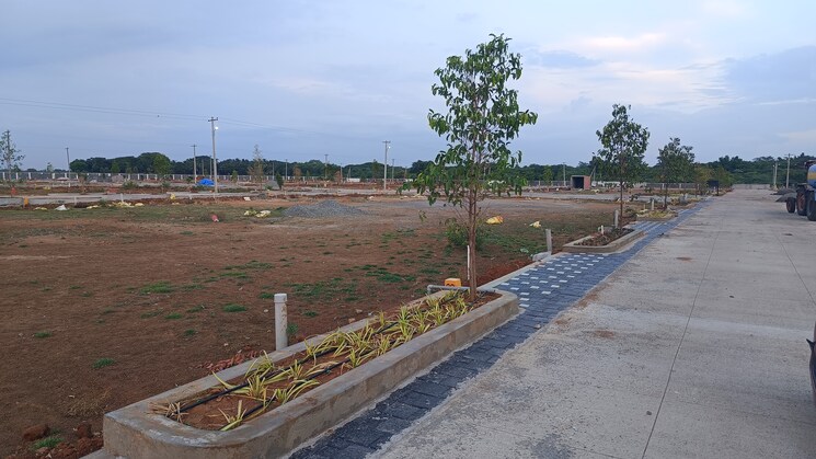 Exterior View, thiruverumbur  1355 Sq.Ft. Plot In Thiruverumbur Trichy 9324940