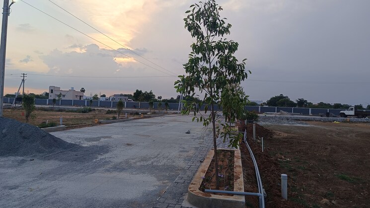 Exterior View, thiruverumbur  1355 Sq.Ft. Plot In Thiruverumbur Trichy 9324940