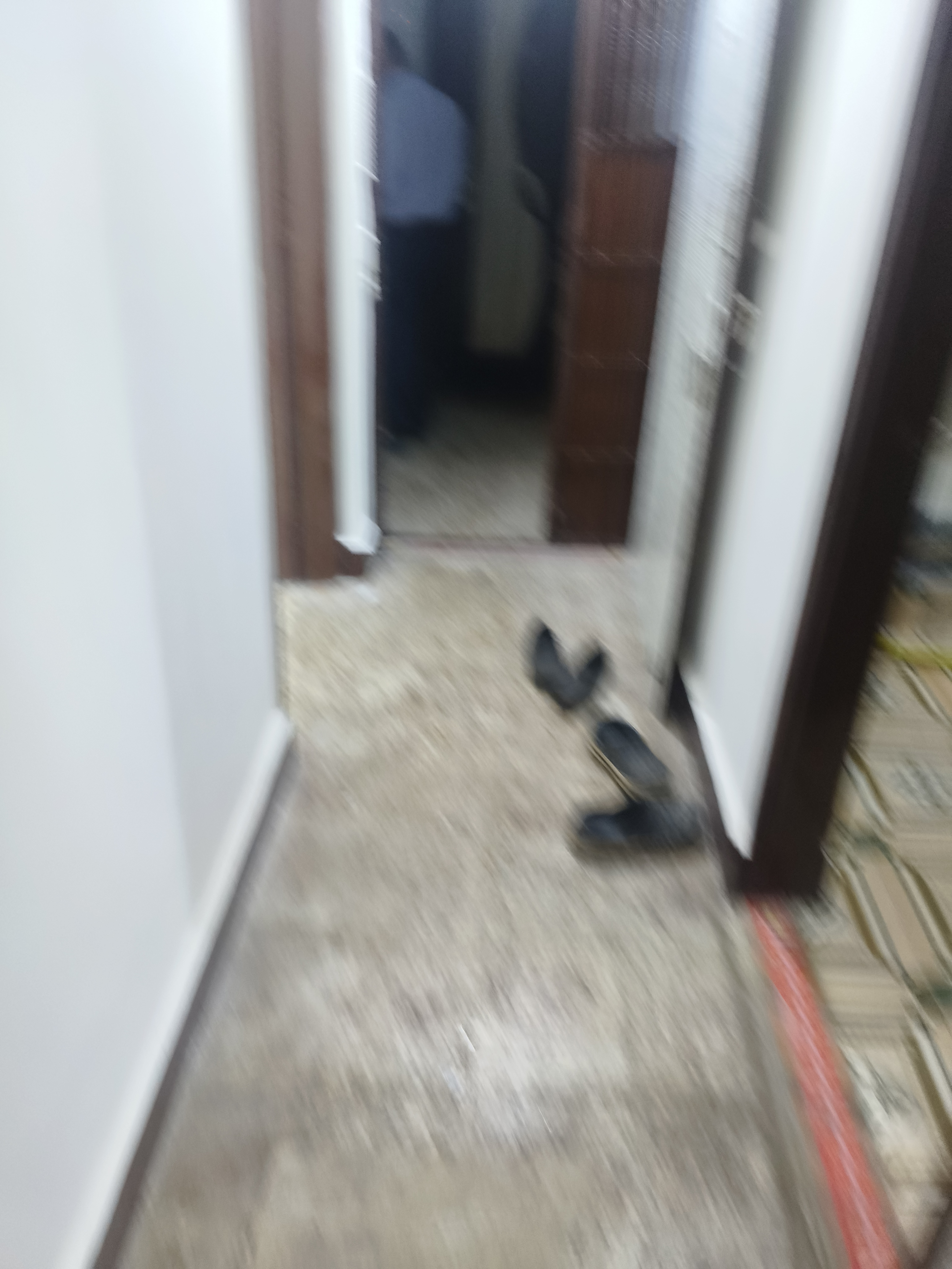 1 BHK Apartment For Rent in Dedhia Golden Park II