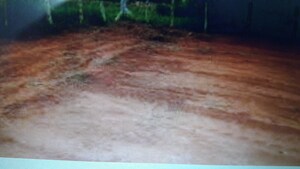  Plot For Sale in Dollars Colony