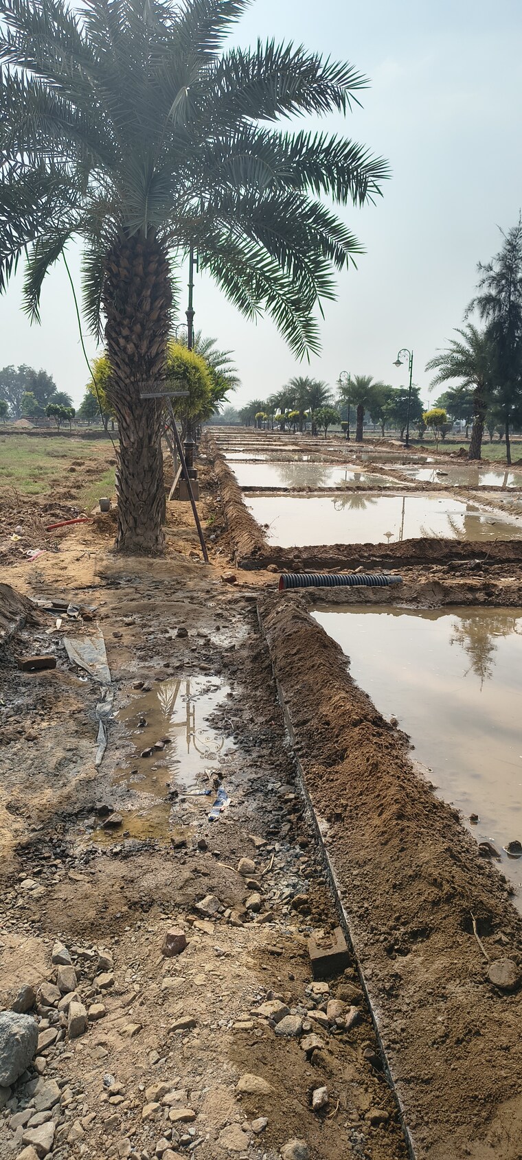 undefined, sujanpur  377 Sq.Yd. Plot In Sujanpur Aligarh 9325131