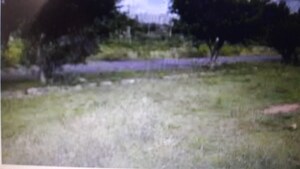  Plot For Sale in Msr Nagar