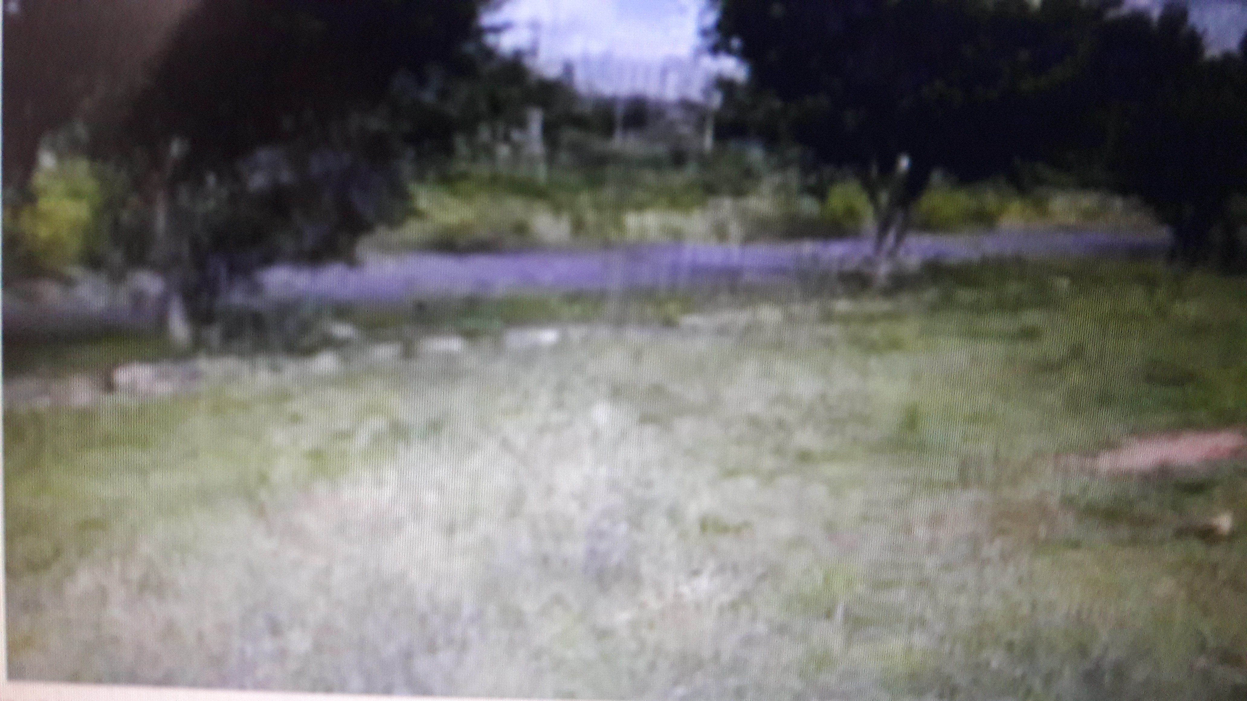 Plot For Sale in Cross Developers 