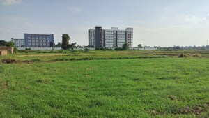  Plot For Sale in Bihta