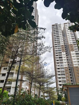 3 BHK Apartment For Rent in My Home Avatar, Gachibowli