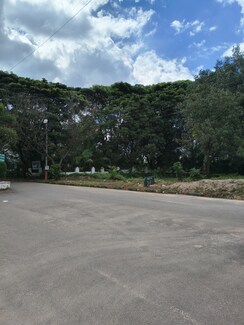 Plot For Sale in Yapral