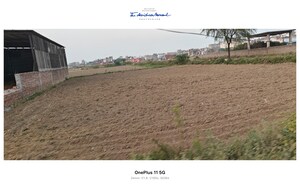 Plot Area in  Plot at Sikri – for Sale