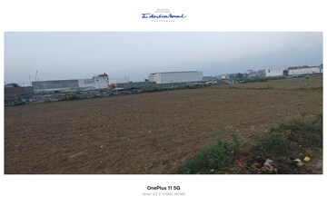 Plot Area in  Plot at Sikri – for Sale