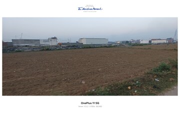 Plot Area in  Plot at Sikri – for Sale