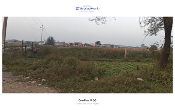Plot Area in  Plot at Sikri – for Sale