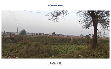Plot Area in  Plot at Sikri – for Sale
