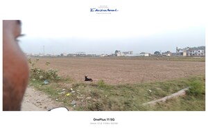  Plot For Sale in Sikri