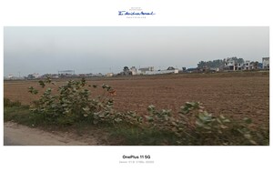 Plot Area in  Plot at Sikri – for Sale