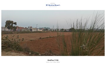 Plot Area in  Plot at Sikri – for Sale