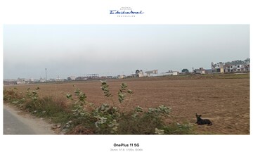 Plot Area in  Plot at Sikri – for Sale