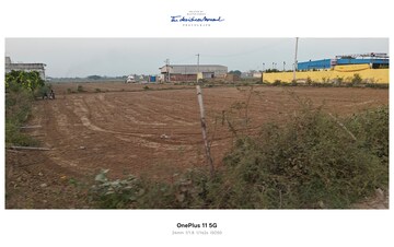Plot Area in  Plot at Sikri – for Sale