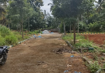 Plot For Sale in Dollars Colony