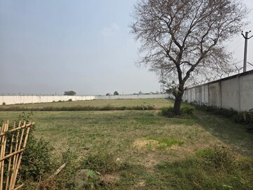  Plot For Sale in Alpha Ii Greater Noida
