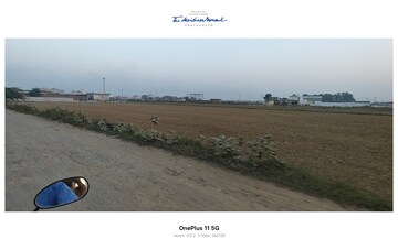 Plot Area in  Plot at Sikri – for Sale