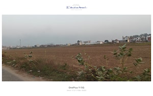 Plot Area in  Plot at Sikri – for Sale