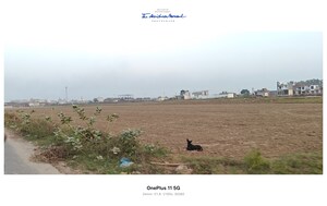 Plot Area in  Plot at Sikri – for Sale