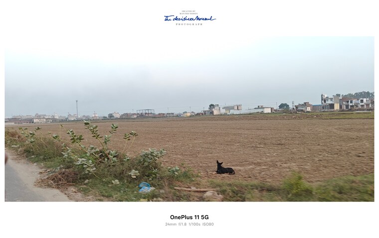 undefined, sikri  450 Sq.Yd. Plot In Sikri Faridabad 9325829