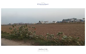 Plot Area in  Plot at Sikri – for Sale