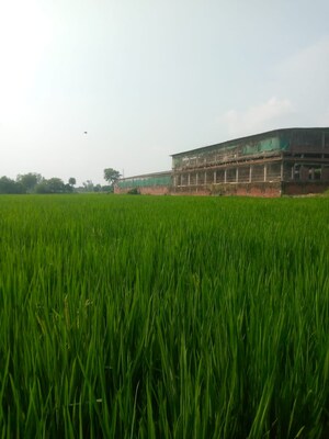  Plot For Sale in Gomti Nagar