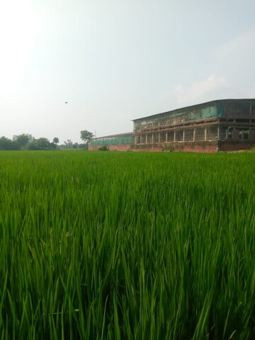 Plot For Sale in Gomti Nagar