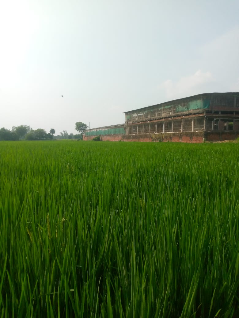 Plot For Sale in Sector 4 Gomti Nagar 