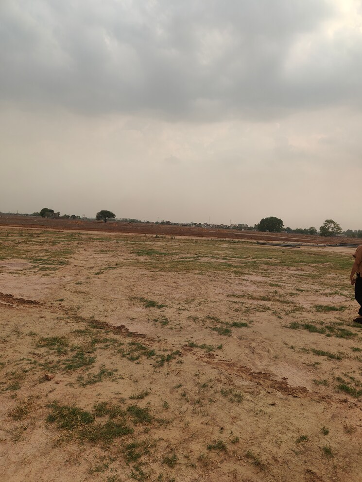 undefined, gt road Commercial Land 9 Acre In Gt Road Sirsa 9325945