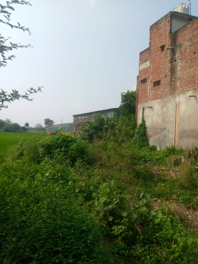 Plot For Sale in Viraj Khand 5