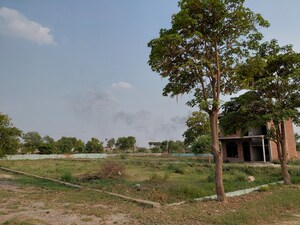  Plot For Sale in Dankaur