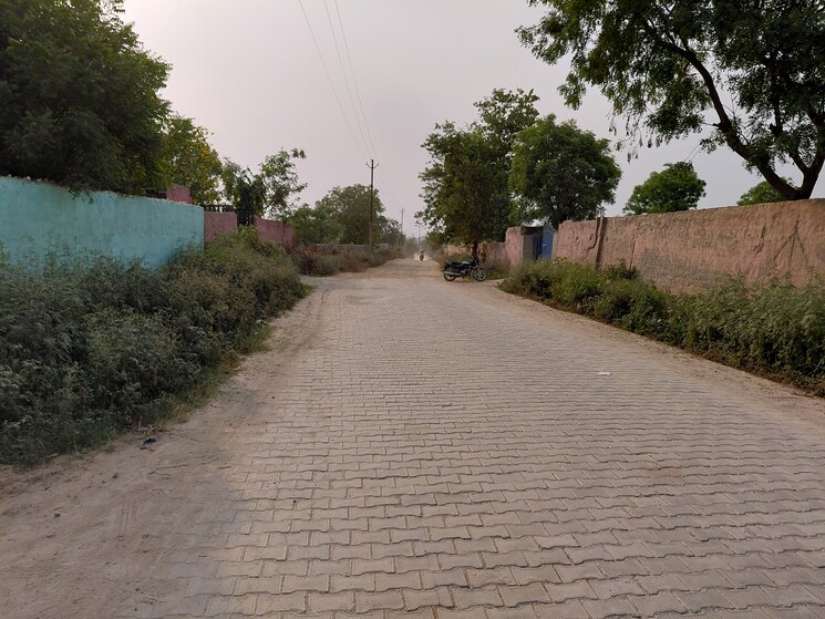 Garden, dankaur  100 Sq.Yd. Plot In Dankaur Greater Noida 9325994