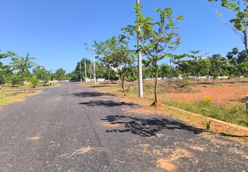 Plot Area in  Plot at Bhogapuram – for Sale