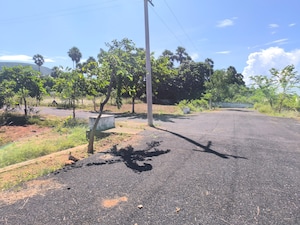 Plot Area in  Plot at Bhogapuram – for Sale