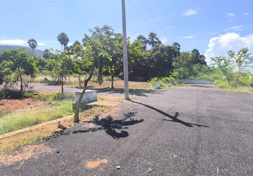 Plot Area in  Plot at Bhogapuram – for Sale