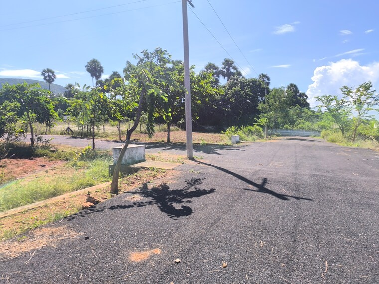 undefined, bhogapuram  200 Sq.Yd. Plot In Bhogapuram Vizag 9326185