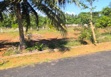 Plot – Garden View at Bhogapuram - for Sale