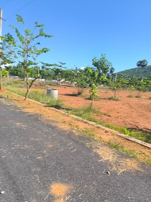 Plot Area in  Plot at Bhogapuram – for Sale