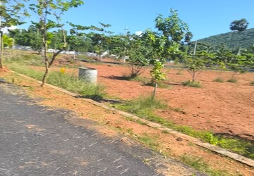 Plot Area in  Plot at Bhogapuram – for Sale