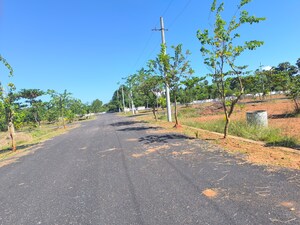 Plot Area in  Plot at Bhogapuram – for Sale